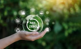 net zero.jpeg