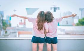 pexels-pixabay-206582 (1).jpg