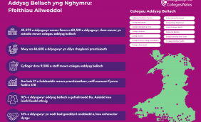 Further Education in Wales Key Facts ENG.png