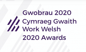Work Welsh 2020 Awards.png